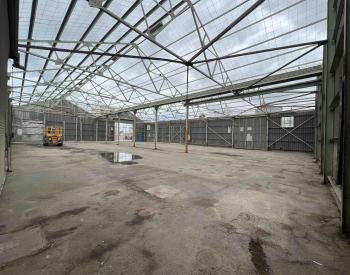 Asbestos Removal - Commercial 3