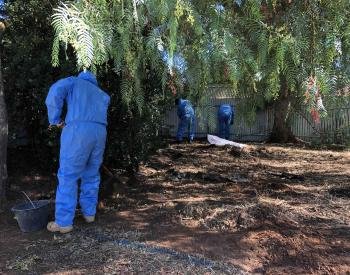 Contaminated Soil and Haulage 6