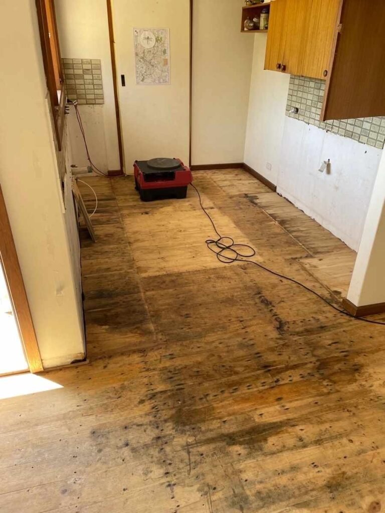 Mould Removal 2 | Specialised Services