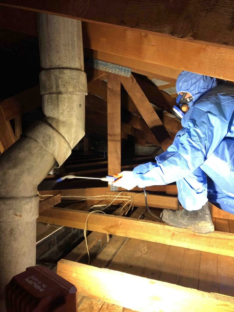 Mould Removal 6 | Specialised Services